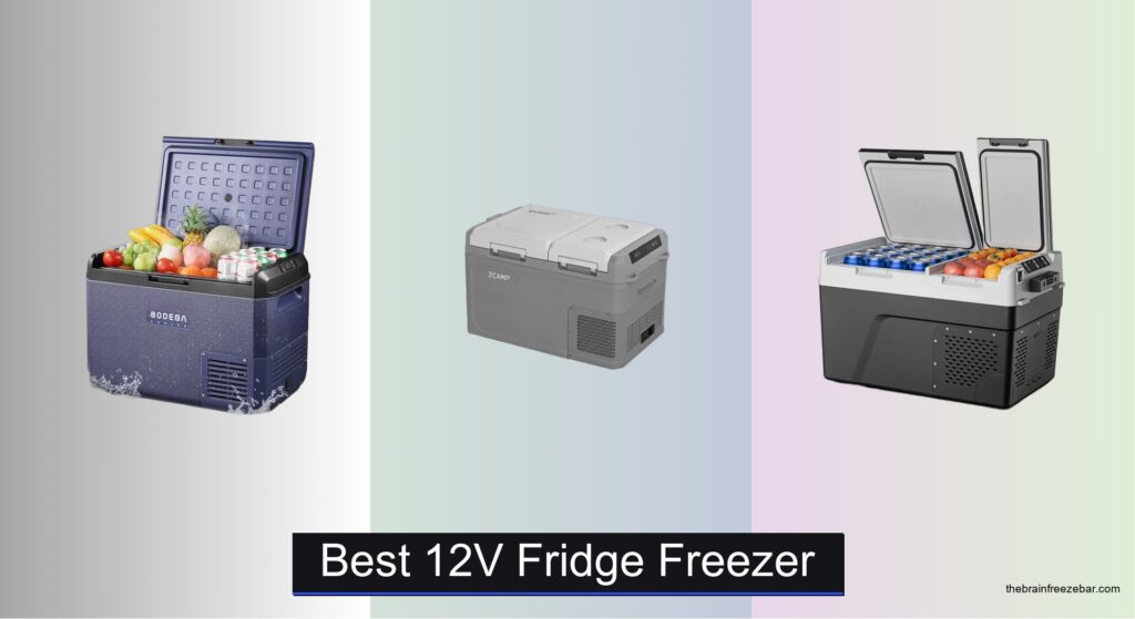 8 Best 12V Fridge Freezers of 2026