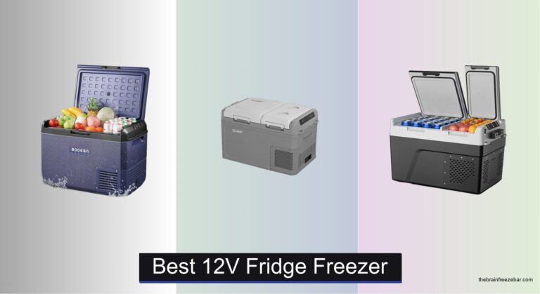 8 Best 12V Fridge Freezers of 2026