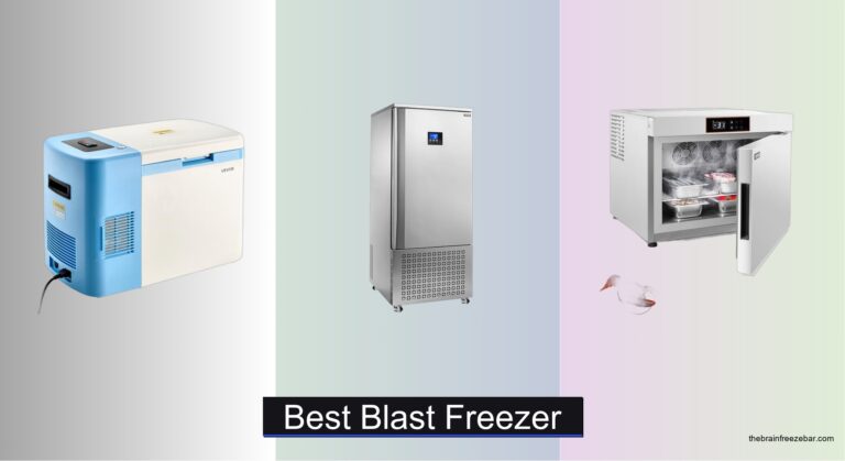 7 Best Blast Freezers of 2026