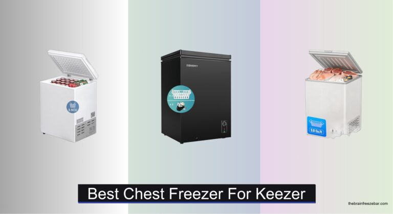 7 Best Chest Freezers for Keezer (2026 Guide)