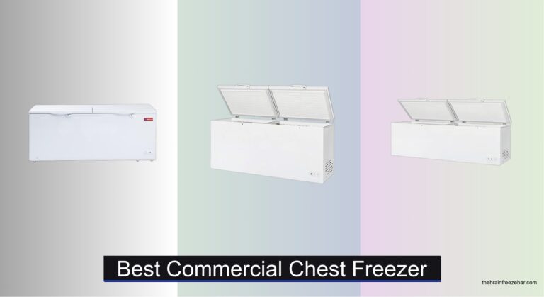 9 Best Commercial Chest Freezers of 2026