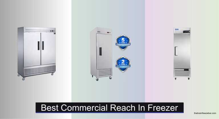 7 Best Commercial Reach In Freezers 2026