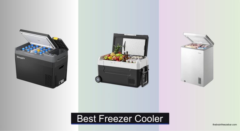 7 Best Freezer Coolers of 2026