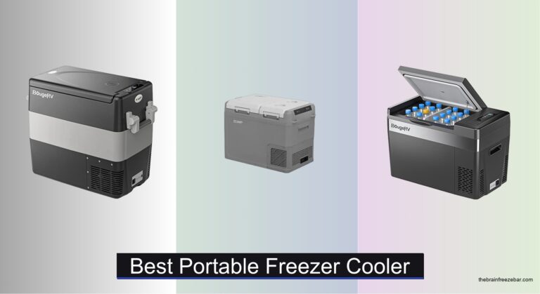 7 Best Portable Freezer Coolers of 2026