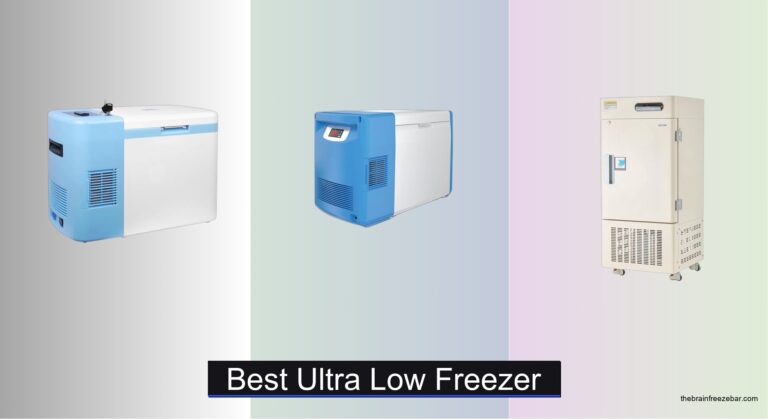 7 Best Ultra Low Freezers of 2026
