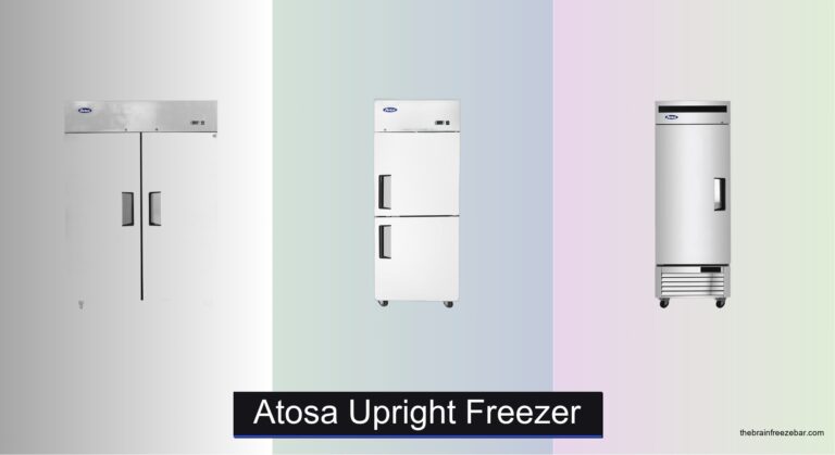 6 Best Atosa Upright Freezers of 2026