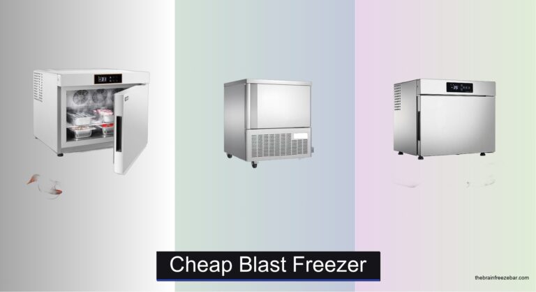 7 Best Cheap Blast Freezers of 2026
