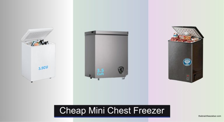 7 Best Cheap Mini Chest Freezers of 2026