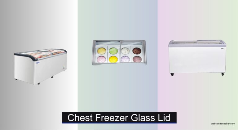 6 Best Chest Freezers with Glass Lids 2026
