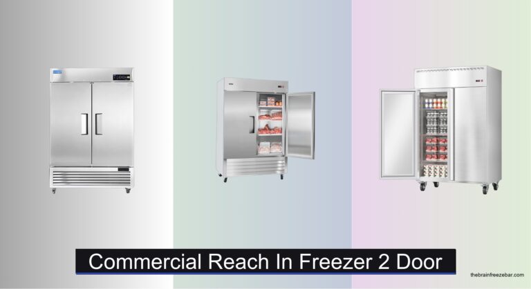 8 Best Commercial Reach-In Freezers 2 Door of 2026