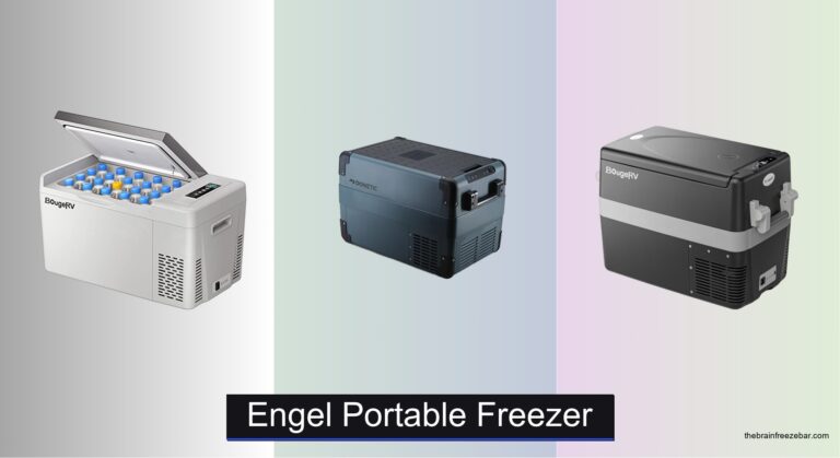 7 Best Engel Portable Freezers of 2026