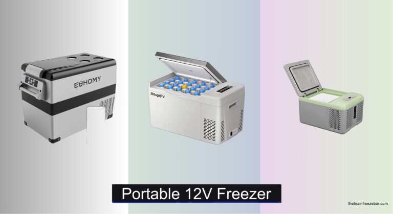 8 Best Portable 12V Freezers of 2026