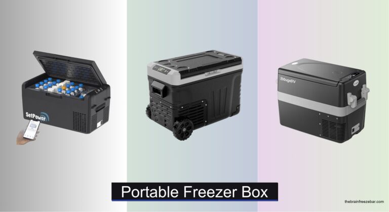 7 Best Portable Freezer Boxes of 2026