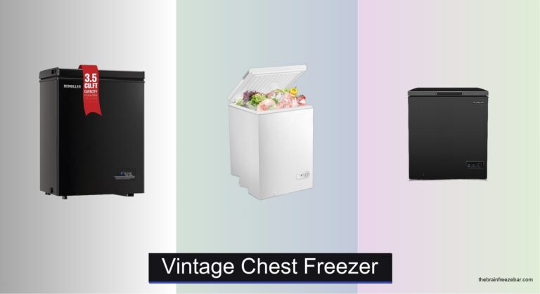 8 Best Vintage Chest Freezers of 2026